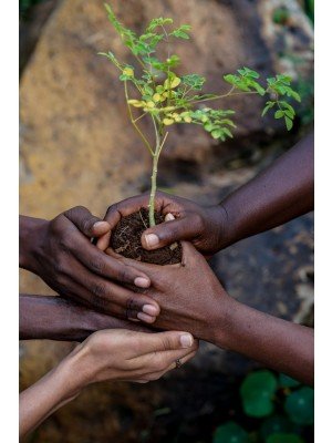 Sheena Shah, Harvesting For Good East Africa