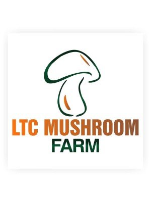 Yusuf Olaitan, Ltc Mushroom