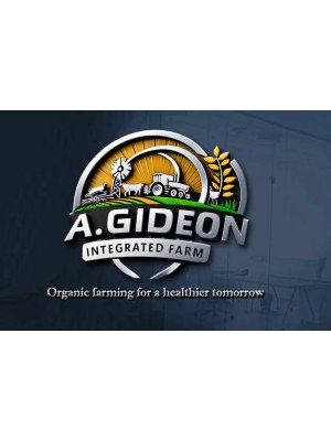 Gideon Adebayo, A.gideon Integrated Farm