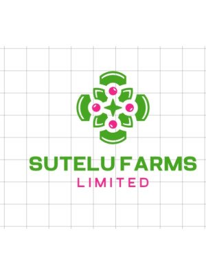Ntula Sikombe, Sutelu Farms Limited