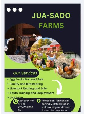 Jibril Ahmad, Jua-sado Farm