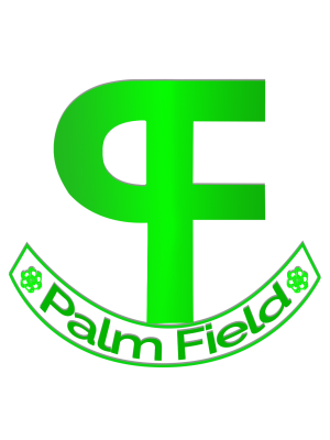 Abel Idegwu, Palmfield Integrated Services