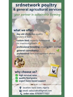 Salisu Rabiu, Srdnetwork Poultry And General Agricultural Service