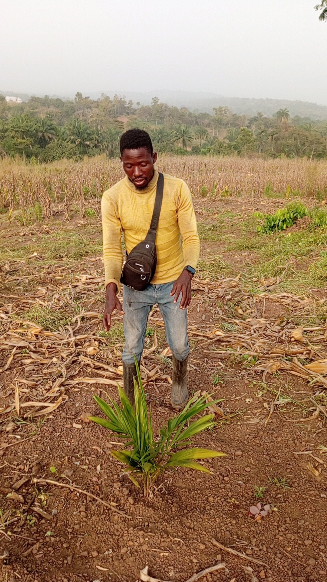 Oluwole Afolayan, John Haven-cropcraf Farms And Agro Consultancy Ltd.