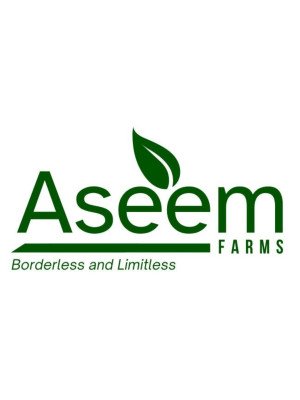 Evalyn Gachoki, Aseem Farms Limited