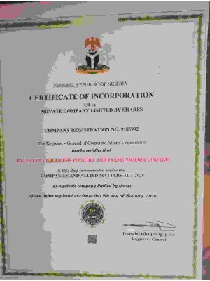 Kazeem Abdulrahman, Excellent Brooders Poultry And Farm Nigeria Limited