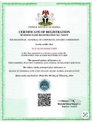Muritala Olafunmise, M. O Olafunmise Farm
