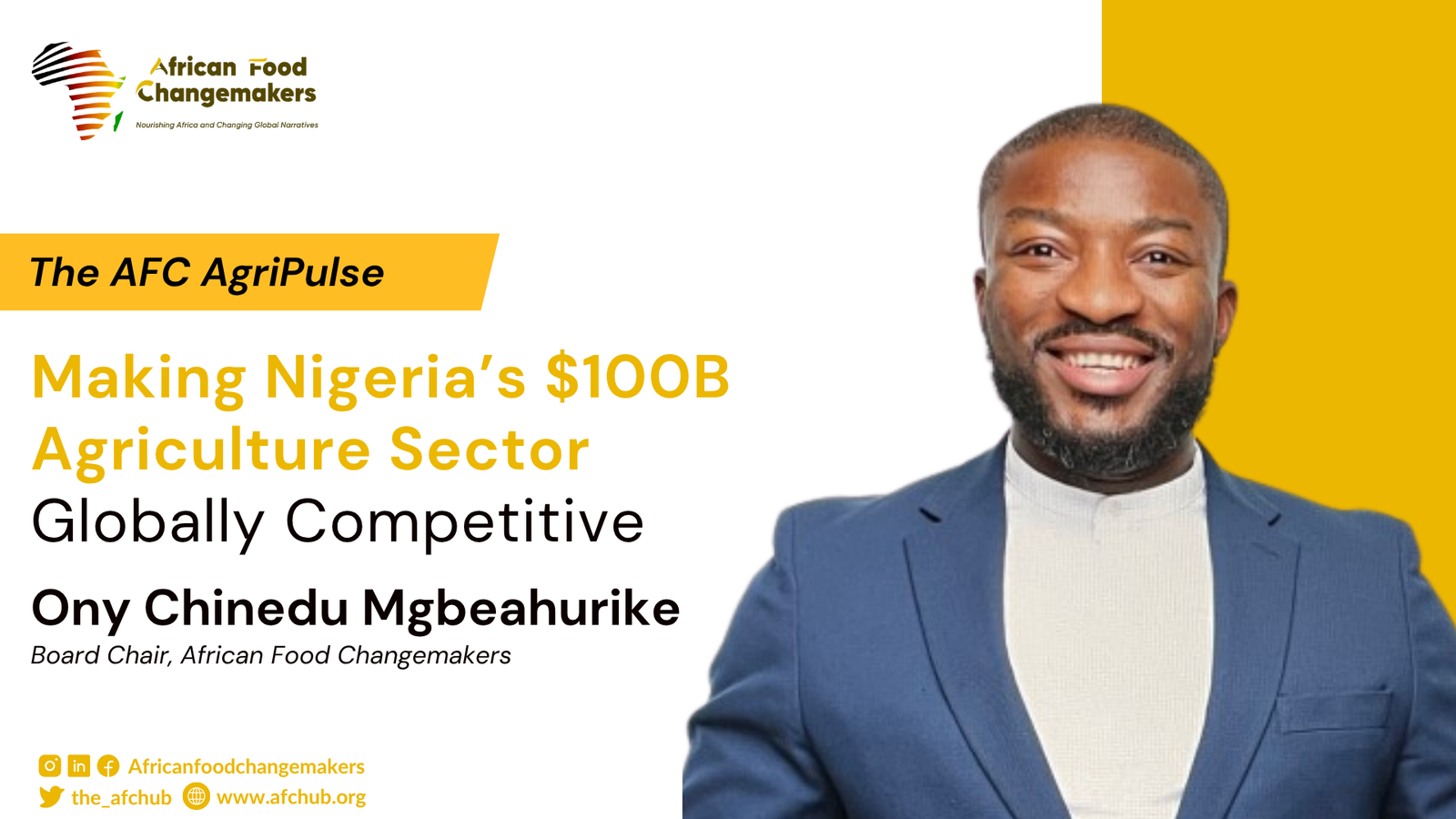 Making Nigeria’s $100B Agriculture Sector Globally Competitive