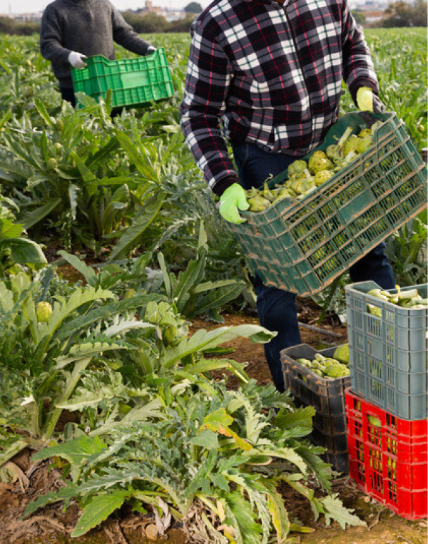 African Food Changemakers
