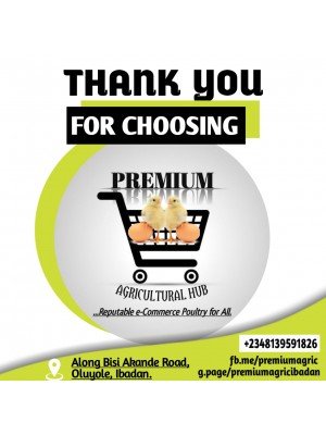 Yekeen Zakariyya Tunde, Premium Agricultural Hub