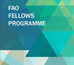 FAO FELLOWSHIP PROGRAMME 2024 FOR YOUNG PROFESSIONALS