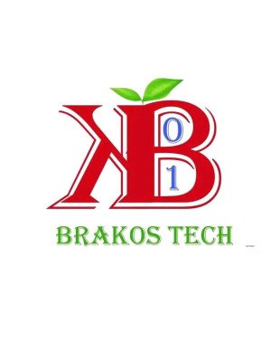 Mbairassem Josué Tarhaindom, Jostar Agency ( Brakoss Tech ?