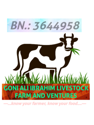Goni Ali Ibrahim, Goni Ali Ibrahim Livestock Farm And Ventures