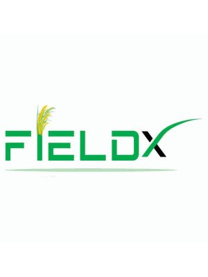 Emmanuel Opadiran, Fieldx Ltd