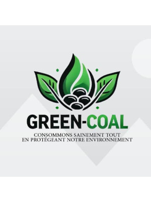Victoire Boulou, Green -coal