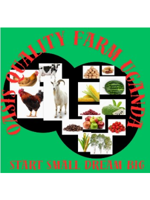 Namboozo Asiyah, Oasis Quality Farm Uganda