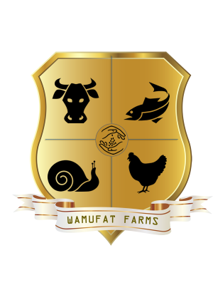 Fatimoh Muhammed, Wamufat Agri-allied Ltd