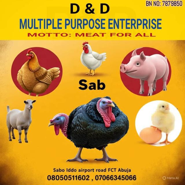 Deborah Shebegeni Isaac, D&d Multiple Purpose Enterprises