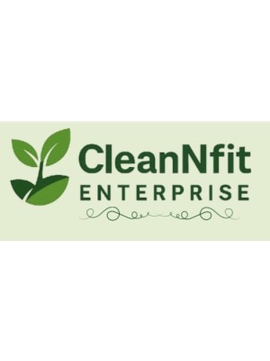 Shamsudeen Balogun, Cleannfit Enterprises