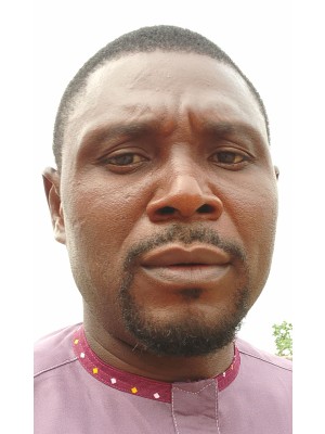 Gideon Alfa, Farmfield Agroallied Company