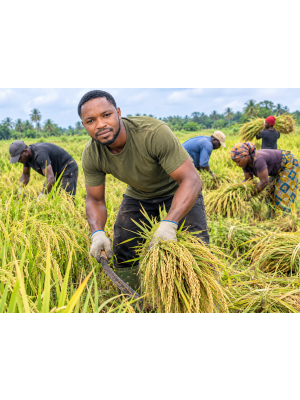 Agaji Godwin, Agida's Food Hub