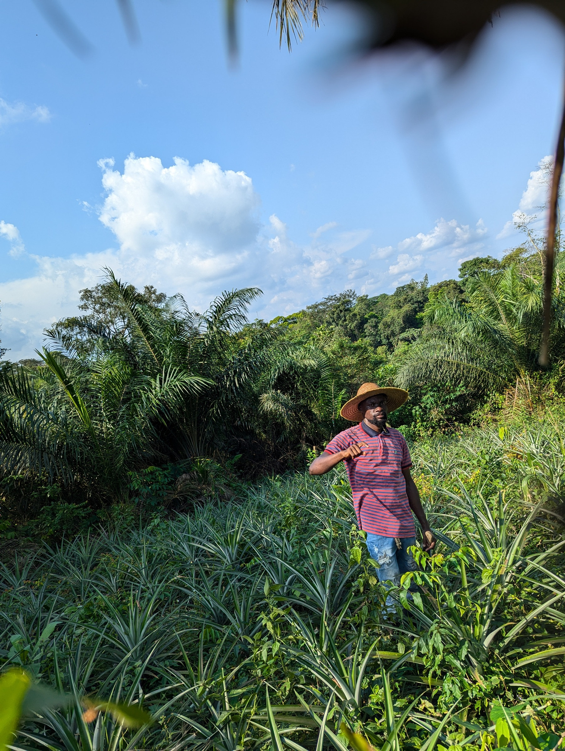 From Drought Loss to Sustainable Renewal: Emmanuel Loka’s BRACE Journey